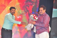Rakshasudu Audio Audio Function